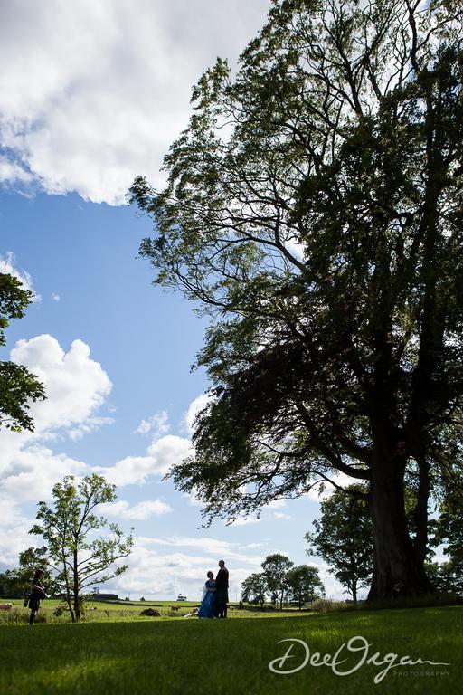 Galway Glamping Hotel Tuam Kültér fotó