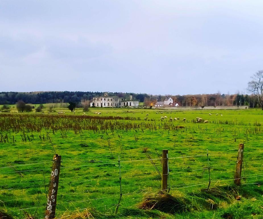 Galway Glamping Hotel Tuam Kültér fotó