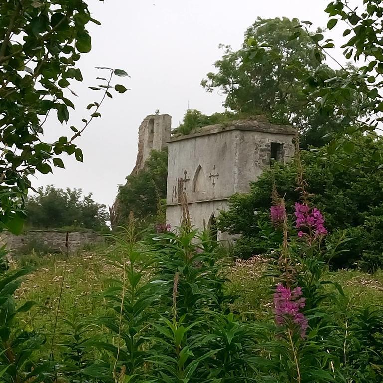 Galway Glamping Hotel Tuam Kültér fotó