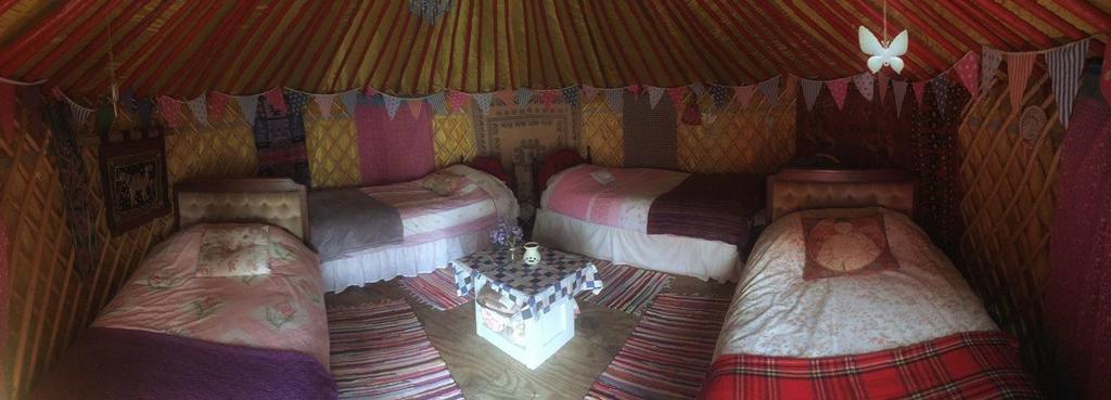 Galway Glamping Hotel Tuam Kültér fotó